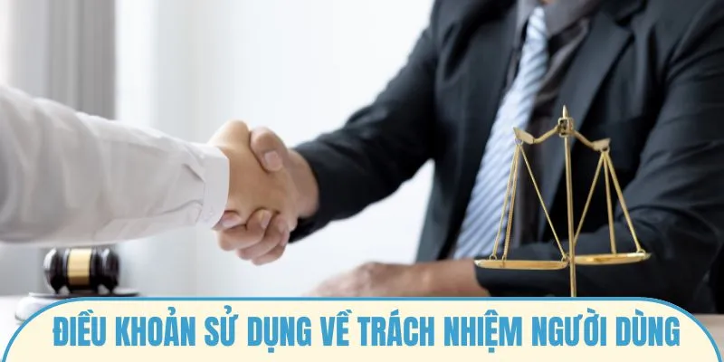 Điều khoản sử dụng về trách nhiệm người dùng