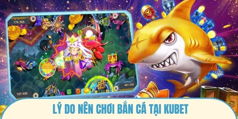 Lý do nên chơi bắn cá tại Kubet