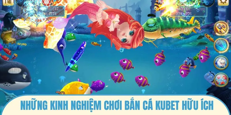 Những kinh nghiệm chơi bắn cá Kubet hữu ích