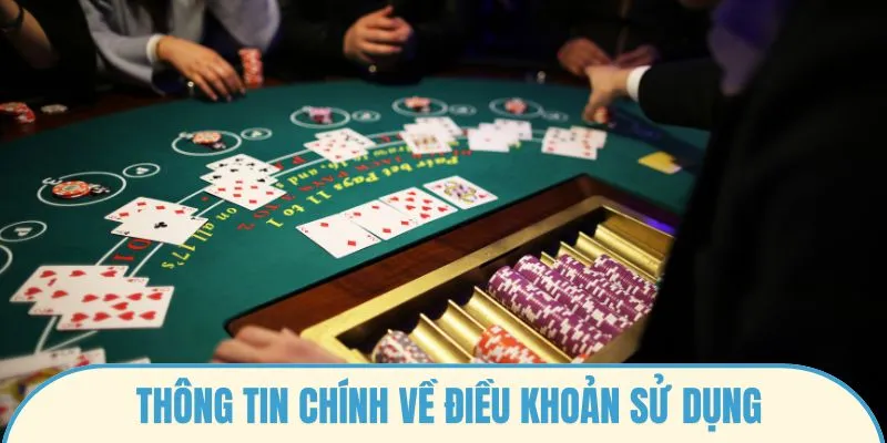 Thông tin chính về điều khoản sử dụng